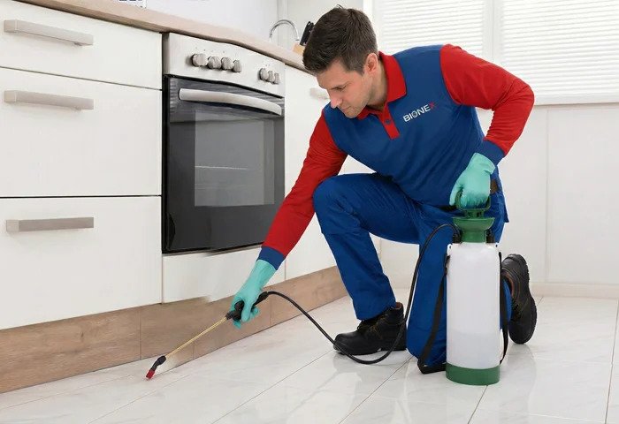 Leading the Way in Eco Friendly Pest Control in Saudi Arabia with Bionex